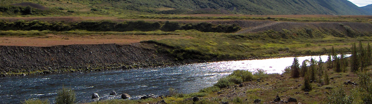 Fnjóská - Silungur
